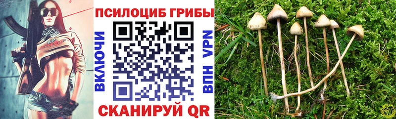 Галлюциногенные грибы MAGIC MUSHROOMS  Брянск 