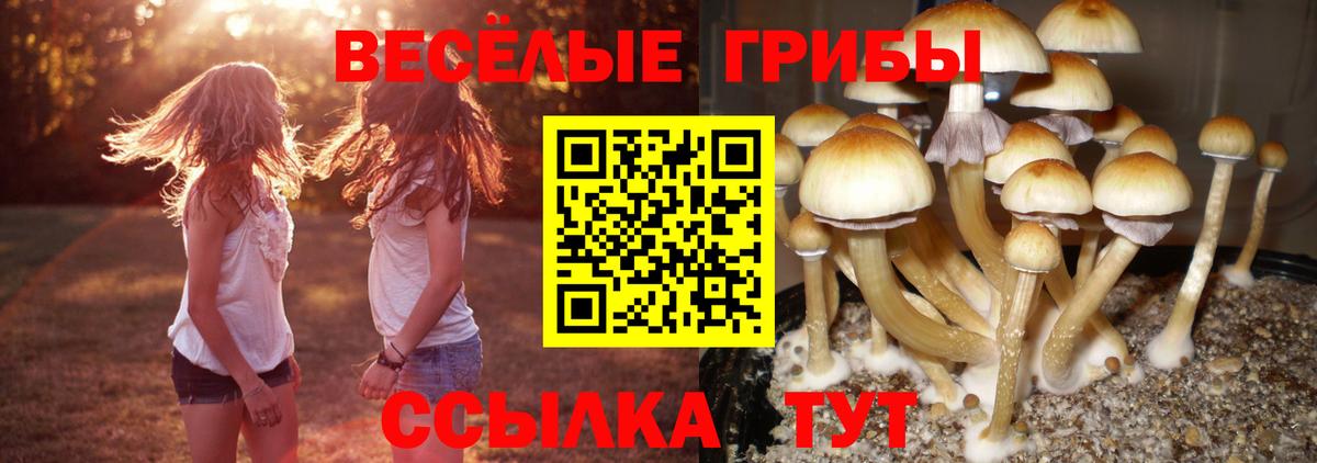Гашиш  Конопля  Брянск  Мефедрон кристаллы  Вход с VPN  Купить 