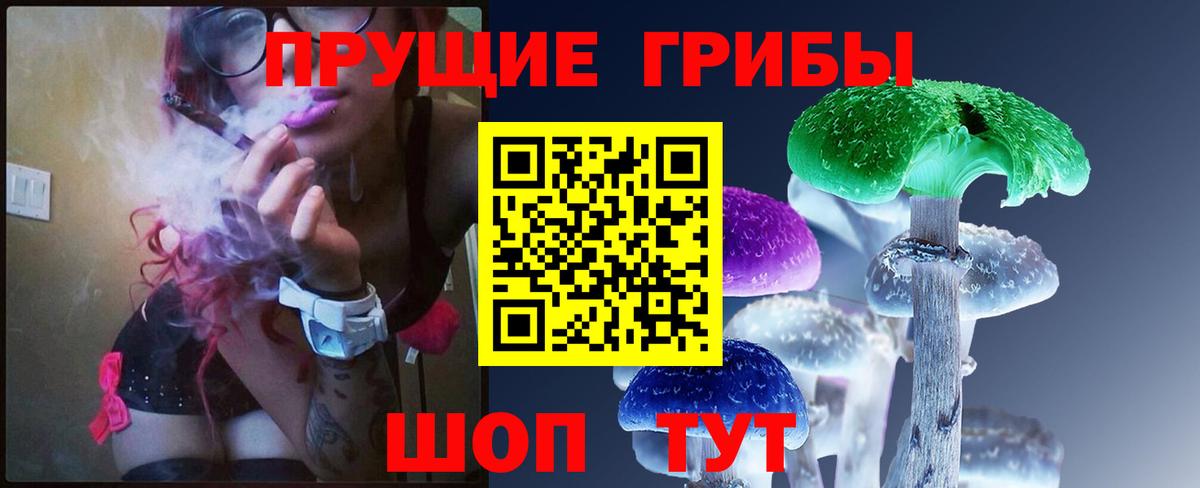 Псилоцибиновые грибы Cubensis Брянск