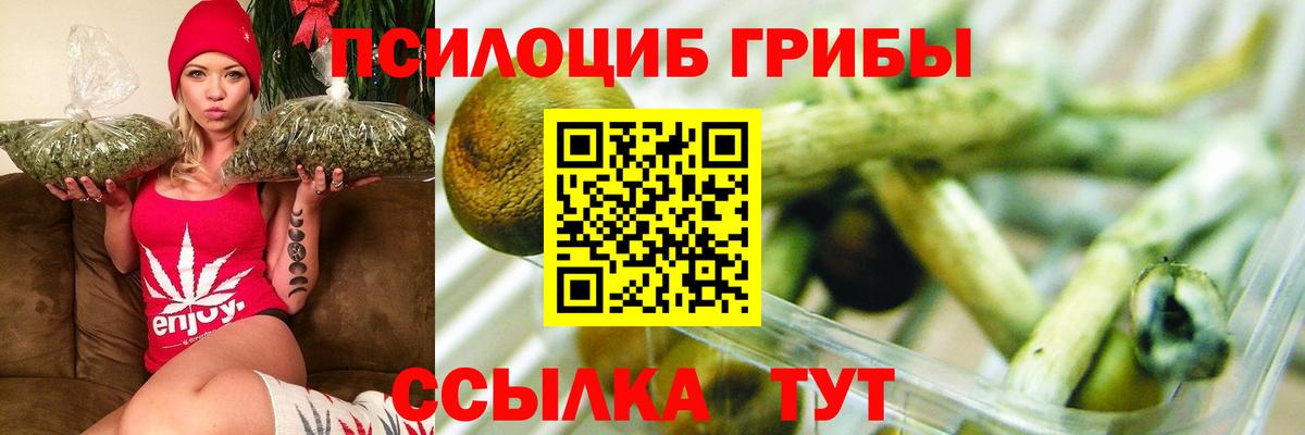 Галлюциногенные грибы Cubensis  Псилоцибиновые грибы GOLDEN TEACHER  Брянск 