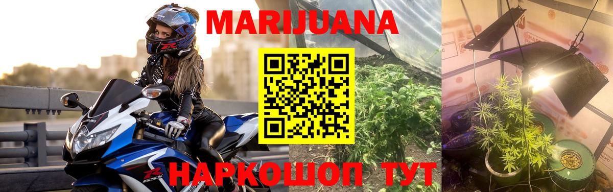 Канабис VHQ  Вход с VPN  Брянск  Каннабис OG Kush  Бошки Шишки SATIVA & INDICA 